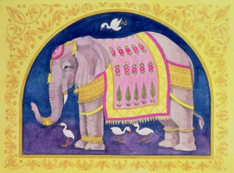 Indian Elephant